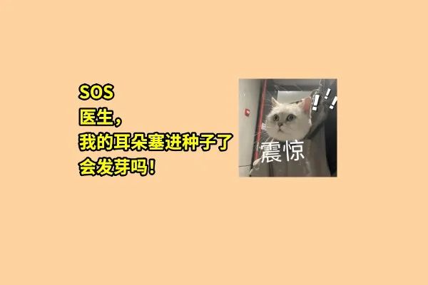 OMG！我的耳朵居然發(fā)芽了？！